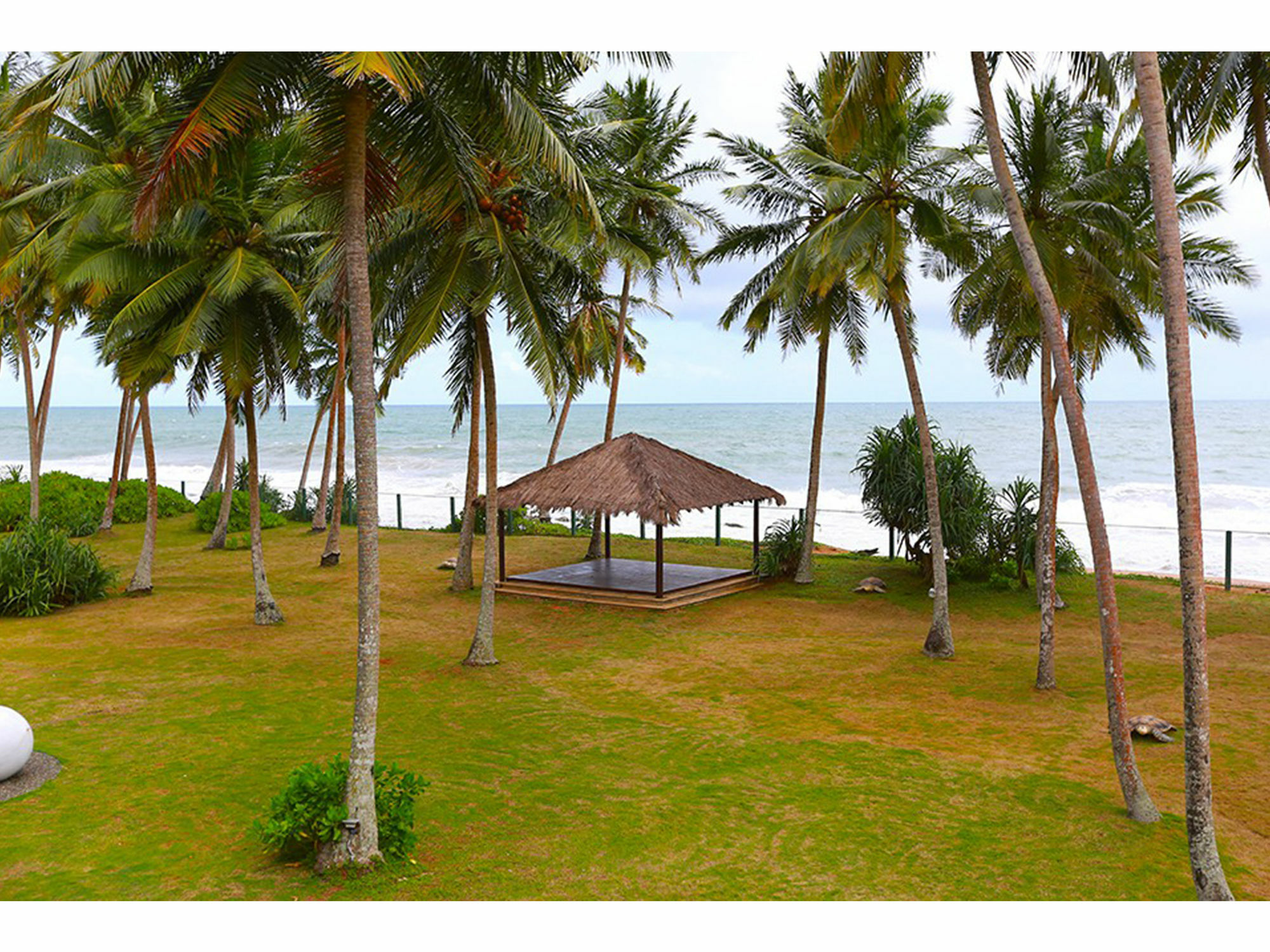 Green Turtle Villa By The Serendipity Collection Bentota Zewnętrze zdjęcie